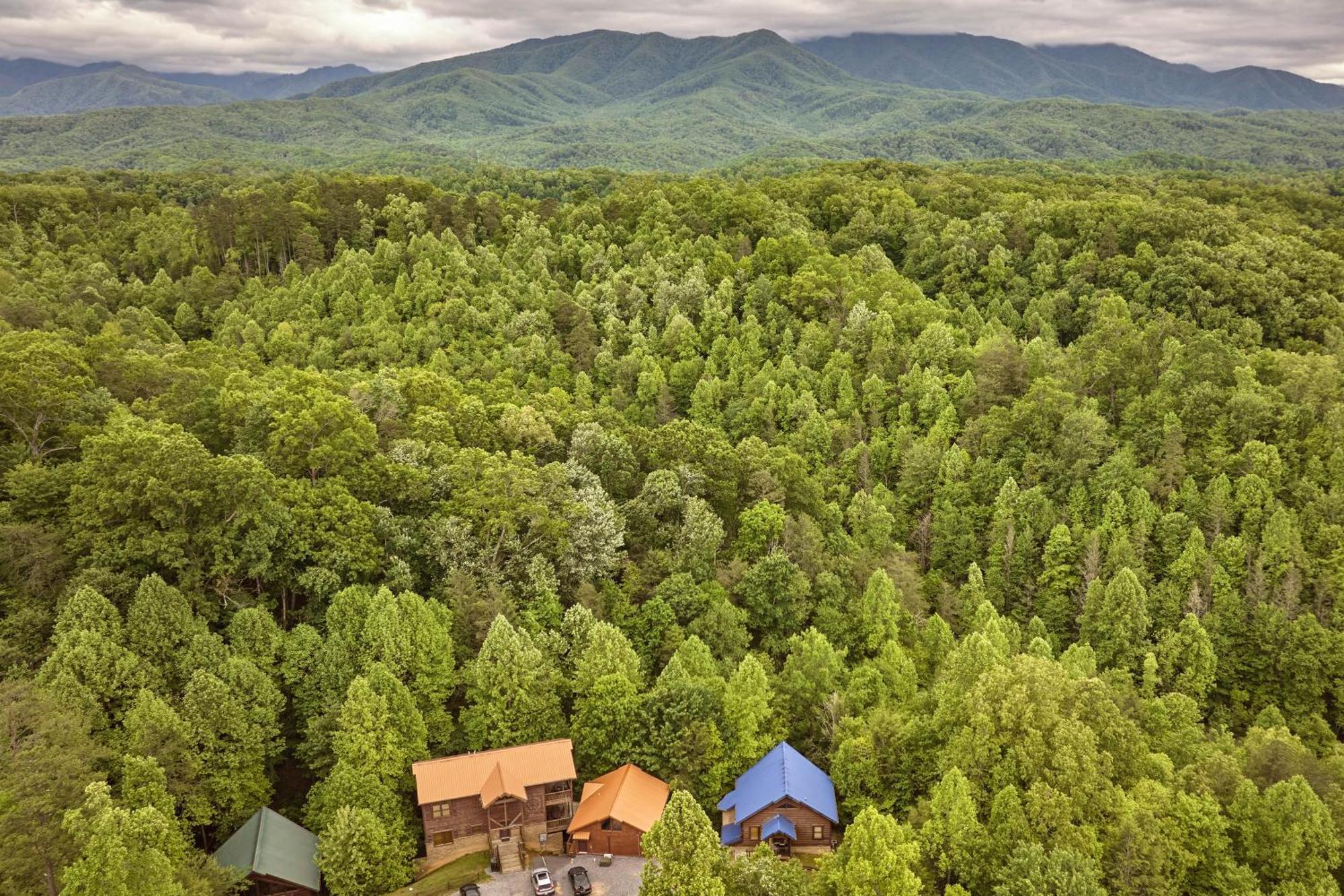 Chalet Damour Gatlinburg Dış mekan fotoğraf